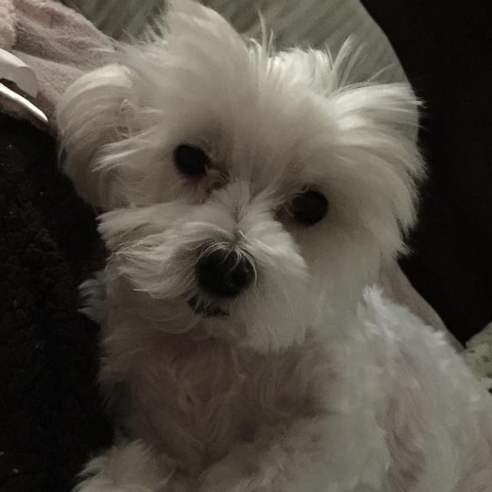 Meet your Posher, Cheryl